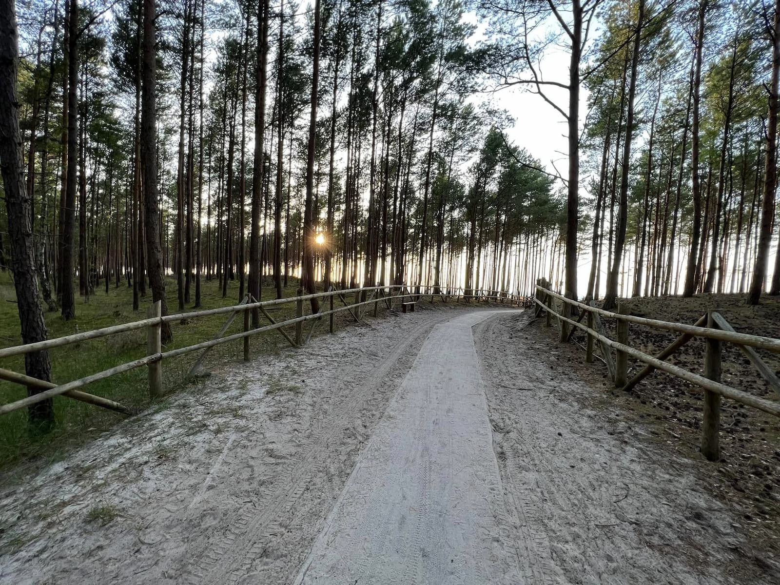 Lubiatowo – dzika plaża nad Bałtykiem otoczona lasem, spokojne miejsce na noclegi z dala od tłumów