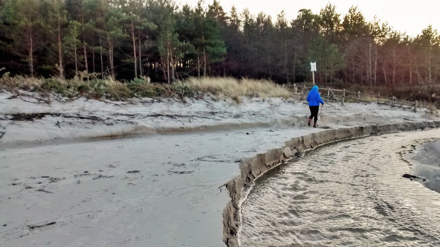 Kobieta z kijami do nordic walking na plaży w Lubiatowie przy wyjściu na ścieżkę między sosnami.